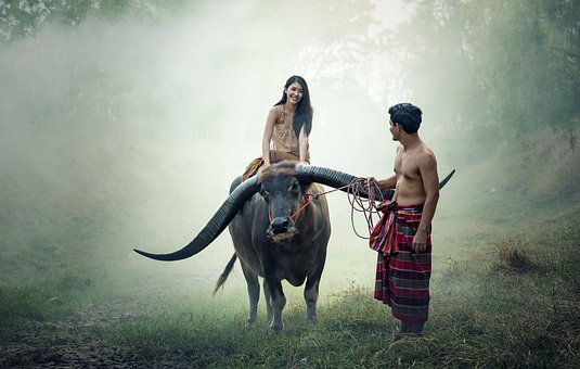 lovemaking between husband & wife
