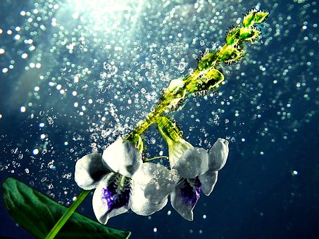 How To Improve Semen Volume - Increase Sperm Count Naturally
