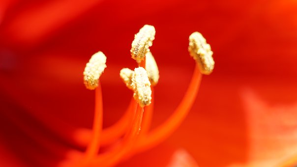 The Truth About Why You Keep Getting a Yeast Infection After Intercourse